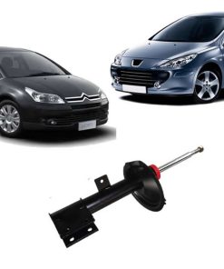 Amortecedor Dianteiro Citroen C4 07/14  Peugeot 307 02/12 - Direito (Passageiro)