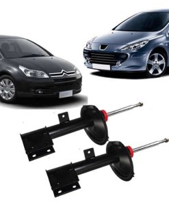 Par de Amortecedor Dianteiro Citroen C4 07/14  Peugeot 307 02/12
